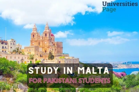 study in malta for international students